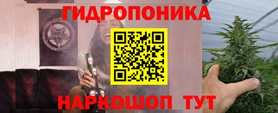 спиды Ливны