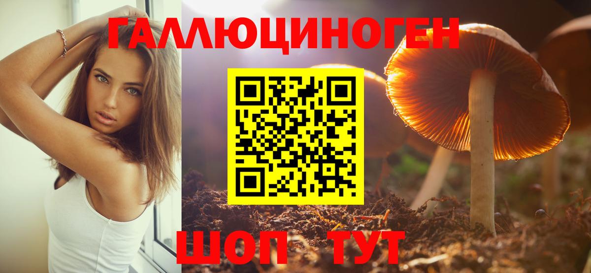 Псилоцибиновые грибы прущие грибы Горно-Алтайск