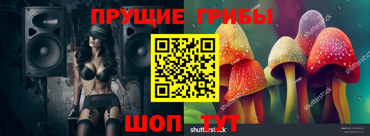 Галлюциногенные грибы Psilocybe  Вход с VPN  Горно-Алтайск  Псилоцибиновые грибы Psilocybe 